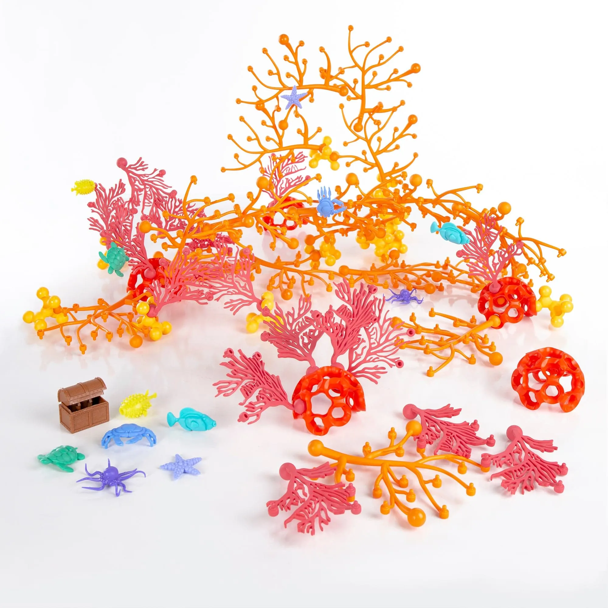 Coral Connections – 70 pc. Set