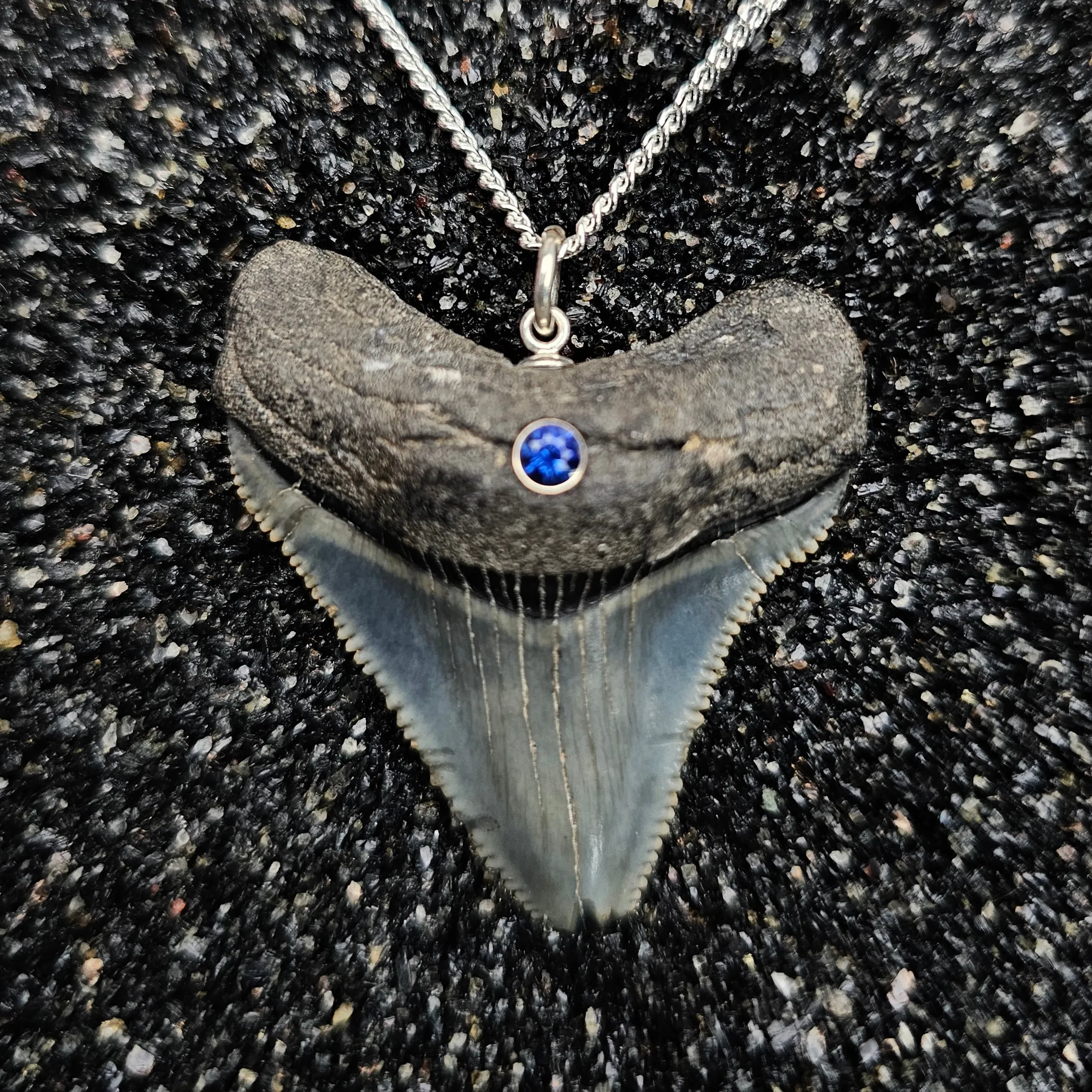 The Relic Necklace (Megalodon Tooth With Blue Sapphire, Set In 14k White Gold)