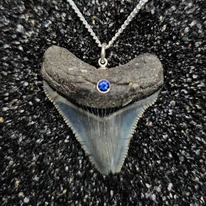 The Relic Necklace (Megalodon Tooth With Blue Sapphire, Set In 14k White Gold)
