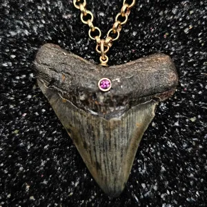 The Relic Necklace (Megalodon Tooth With Pink Sapphire, Set In 14k Yellow Gold)